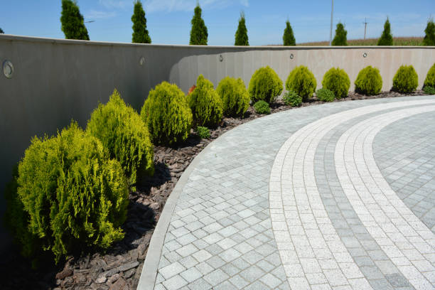 Best Local Driveway Pavers  in La Crosse, WI